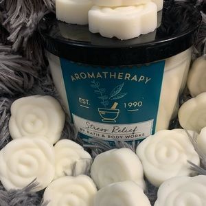 Bath and Body Works Candle Wax Melts